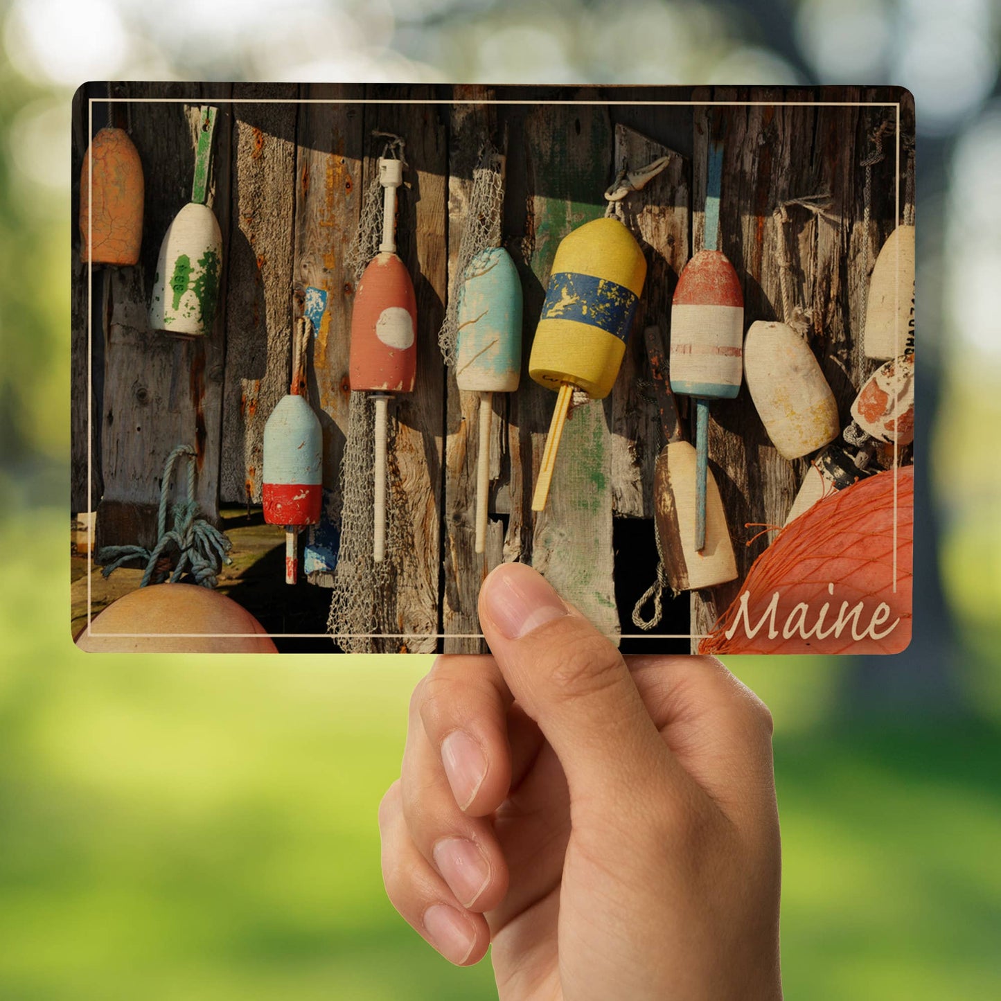 Maine Buoys WOOD POSTCARD