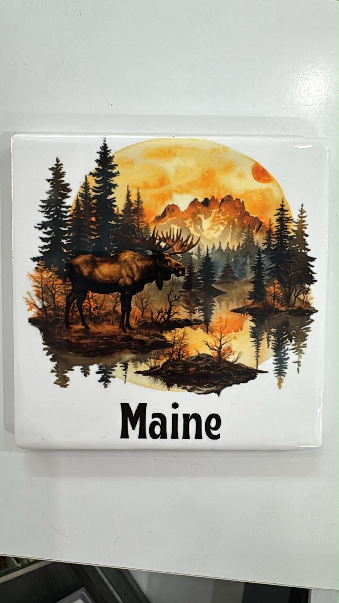 Ceramic Coasters Maine Themed