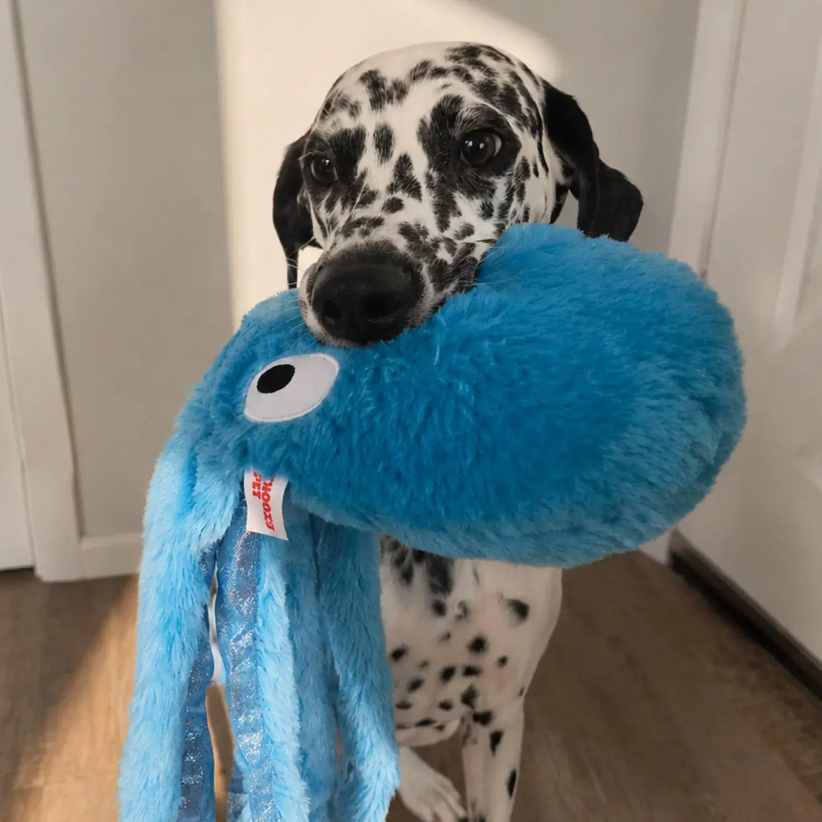 ThoozyPet Sea Life Octopus Plush Dog Toy Blue