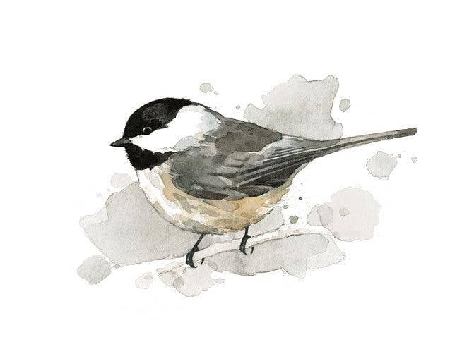 Chickadee Watercolor Painting, Bird Print