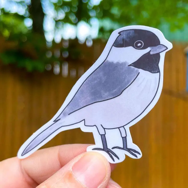 Black-Capped Chickadee Vinyl Sticker