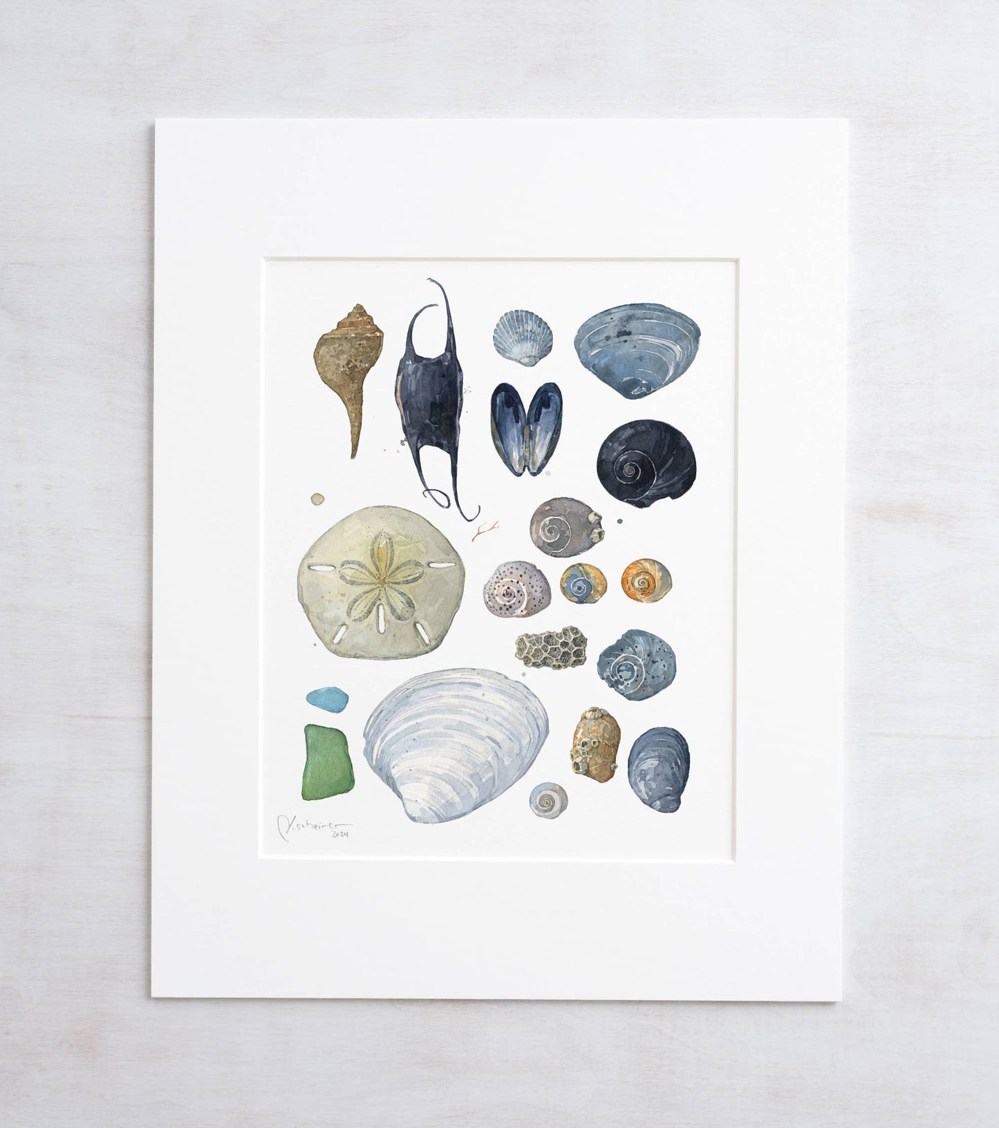 Shells Beachcombing Seashore Print E