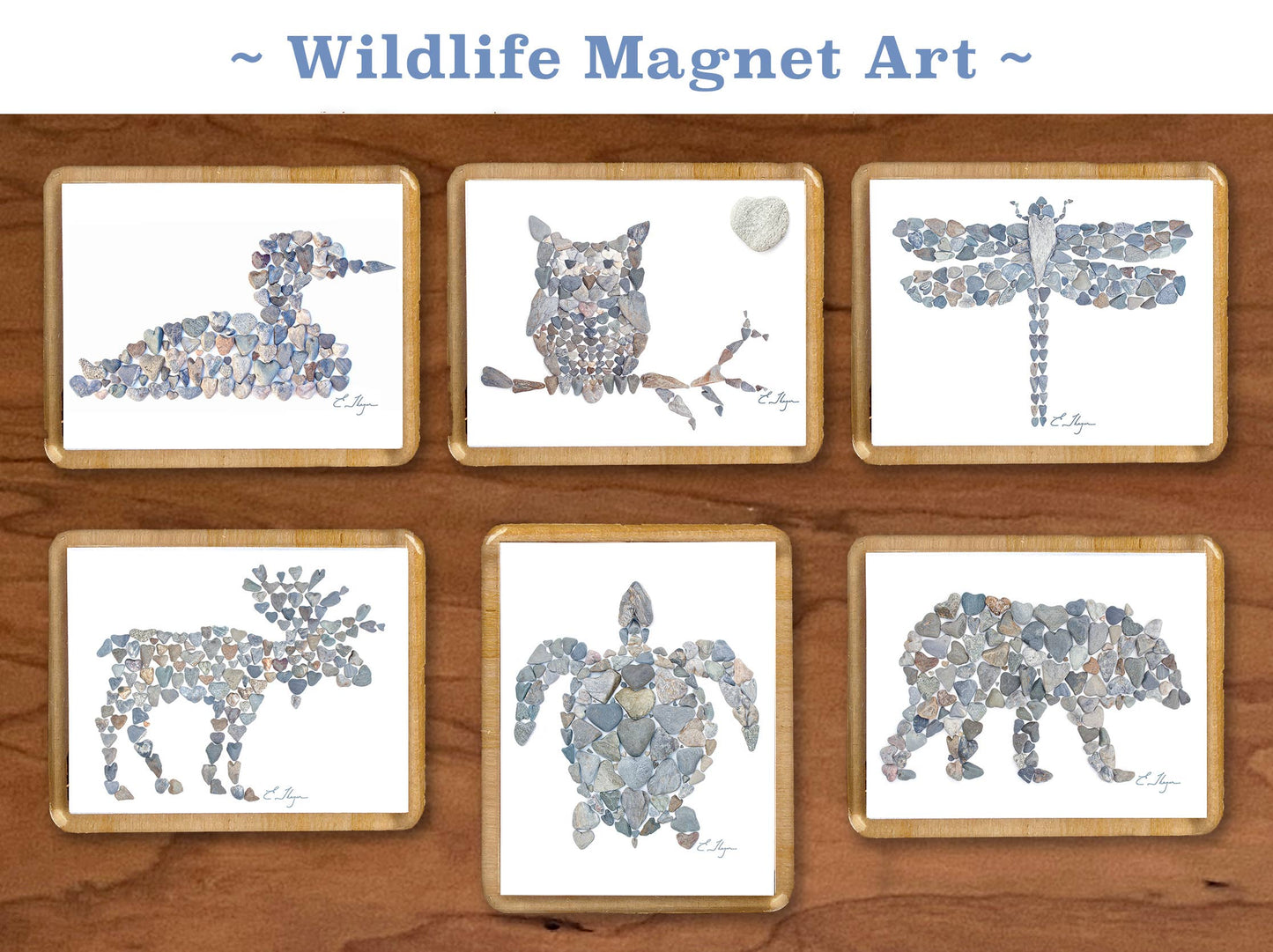 Coastal magnets | Turtle magnets
