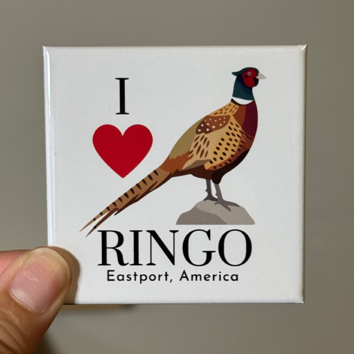 Maine Variety USA Square Magnets
