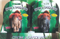 Grow a Sasquatch