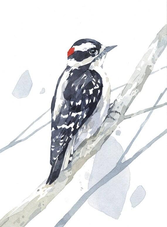 Downy Woodpecker Watercolor Print