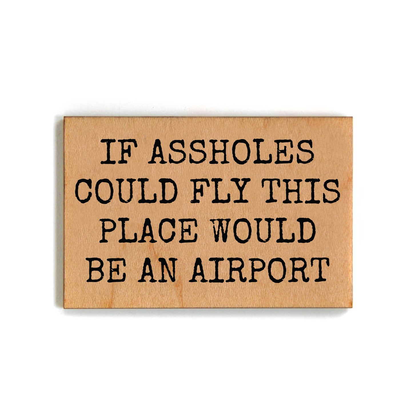 If A**holes could fly Magnet