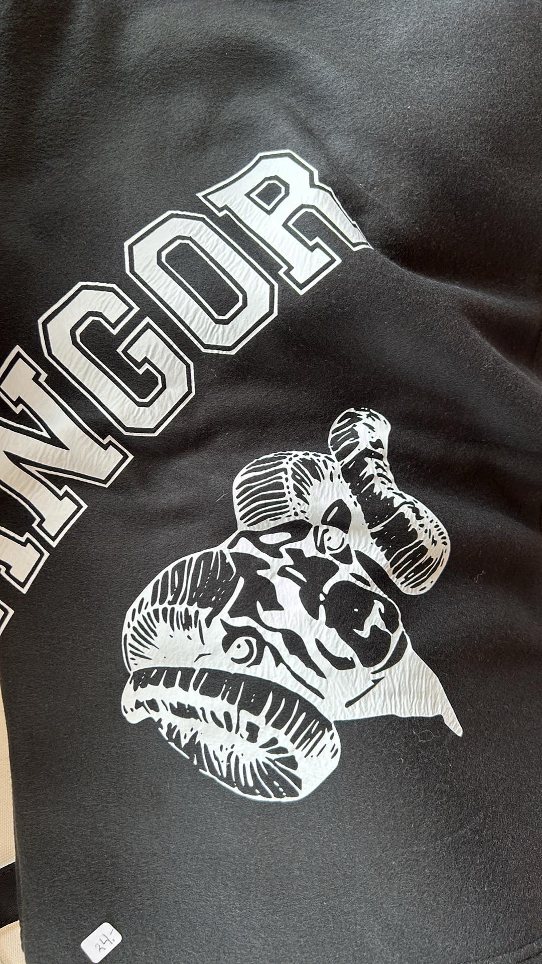bangor blanket
