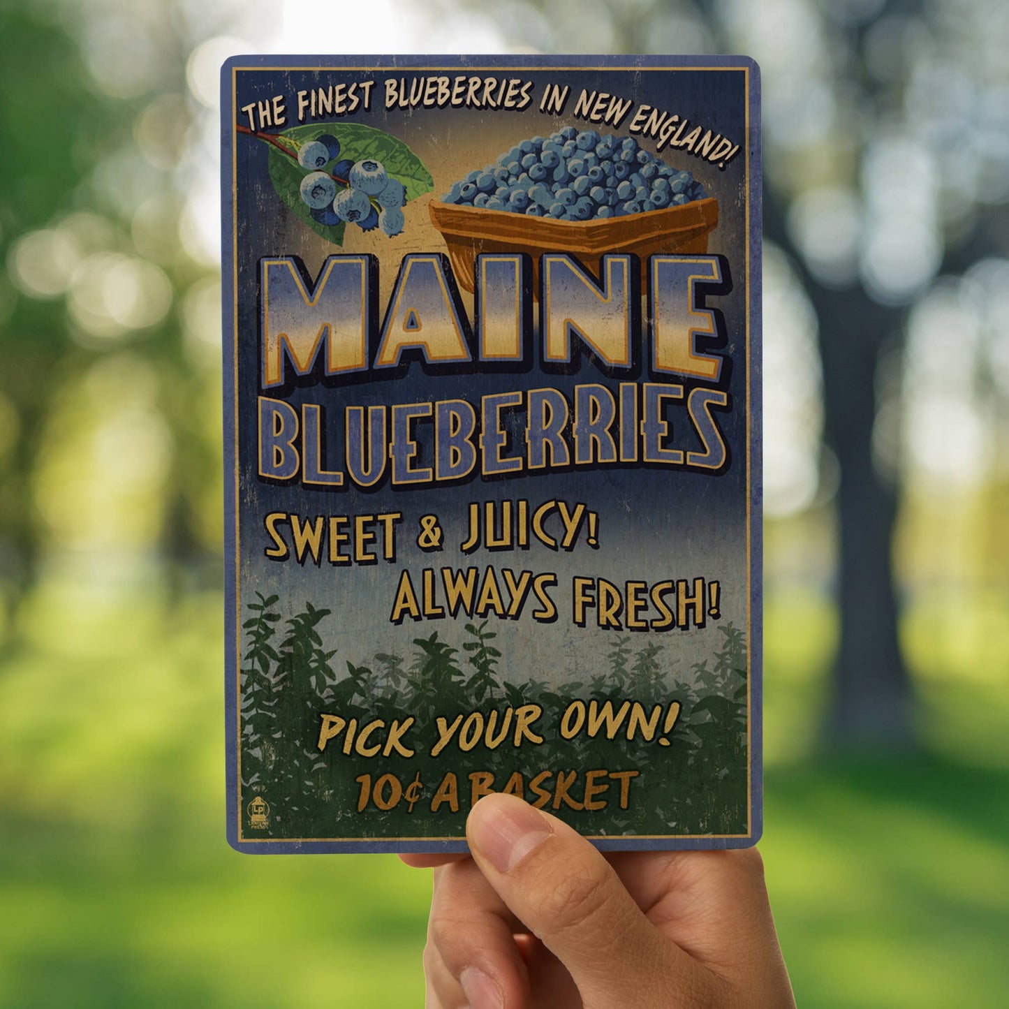 WOOD POSTCARD Maine, Blueberries Vintage Sign
