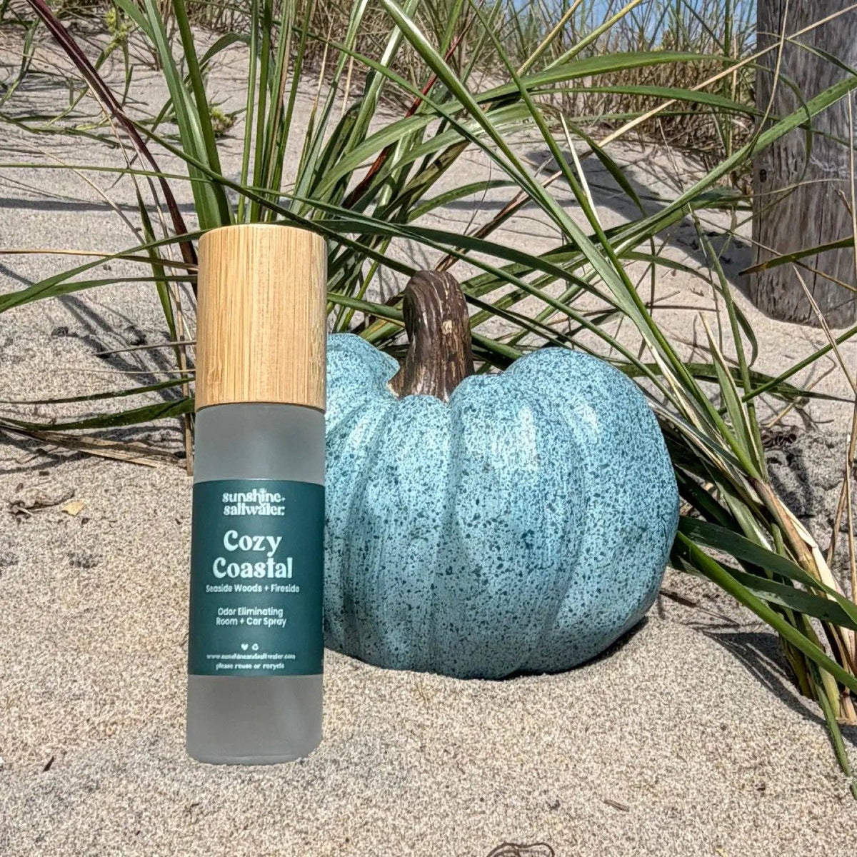 Cozy Coastal | Room + Car Spray