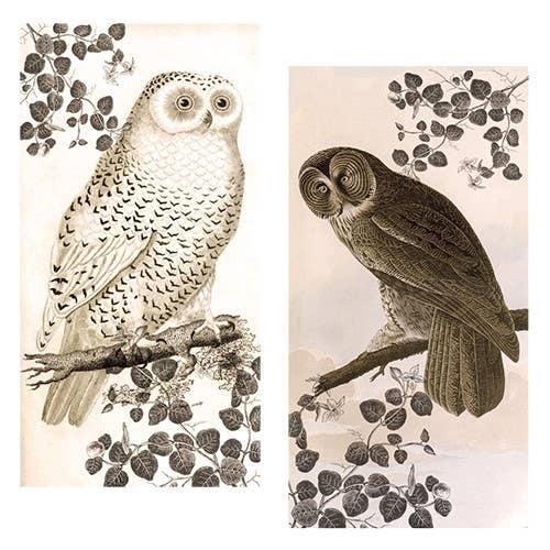Vintage Owl Large Matchbox