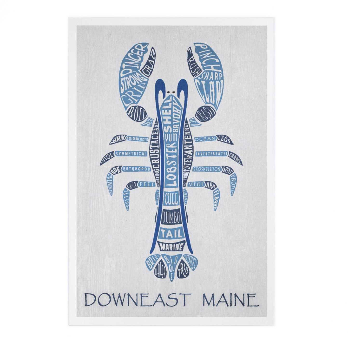 PREMIUM POSTCARDS Maine, Blue Lobster, Typography