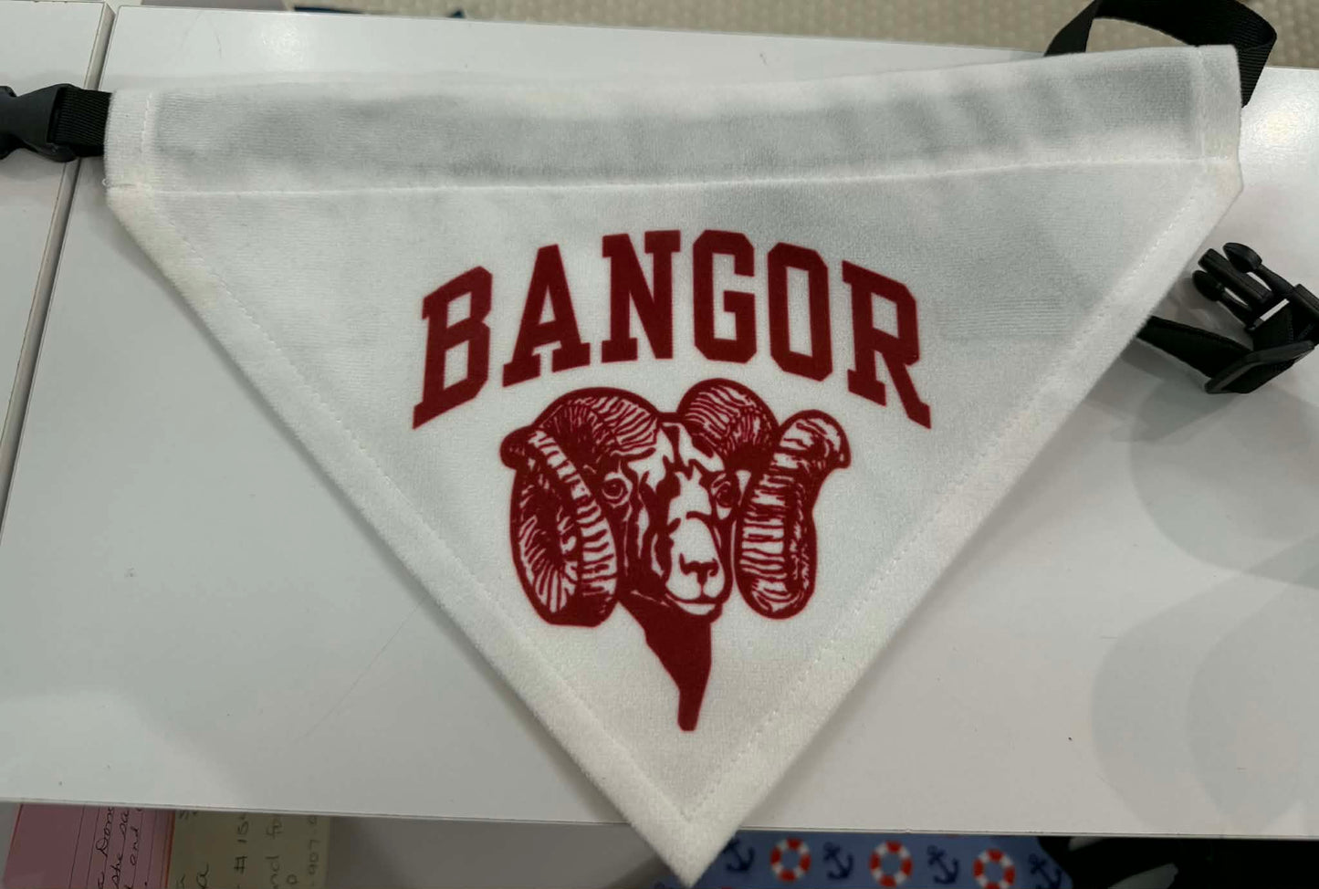 Bangor Pet Bandana