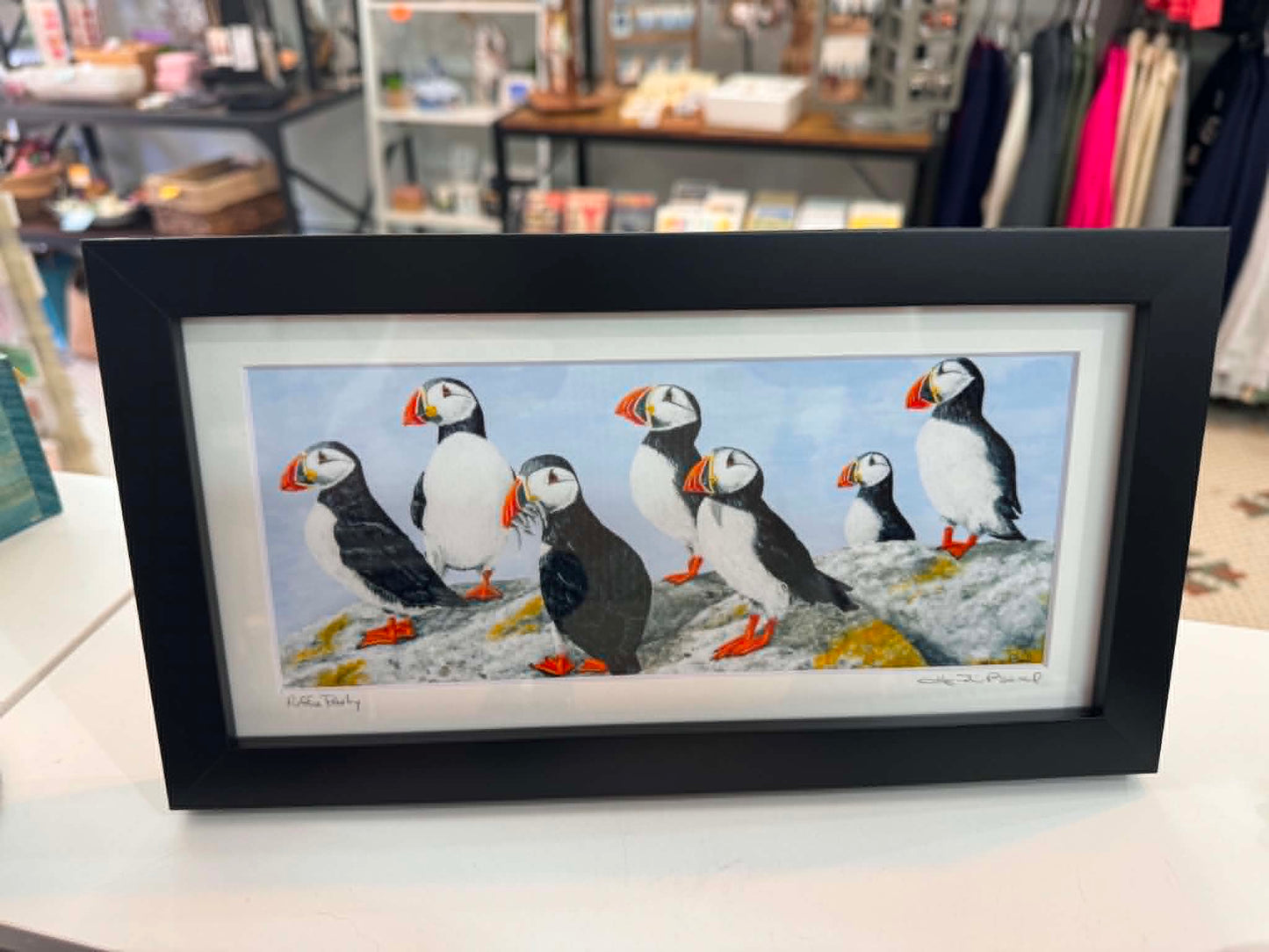 Heidi Beal Puffins Framed Picture