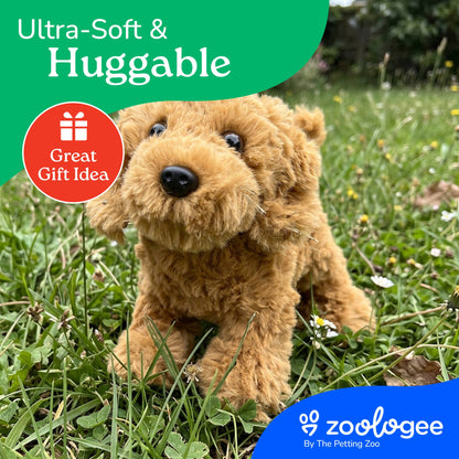 New Golden Labradoodle Dog Small