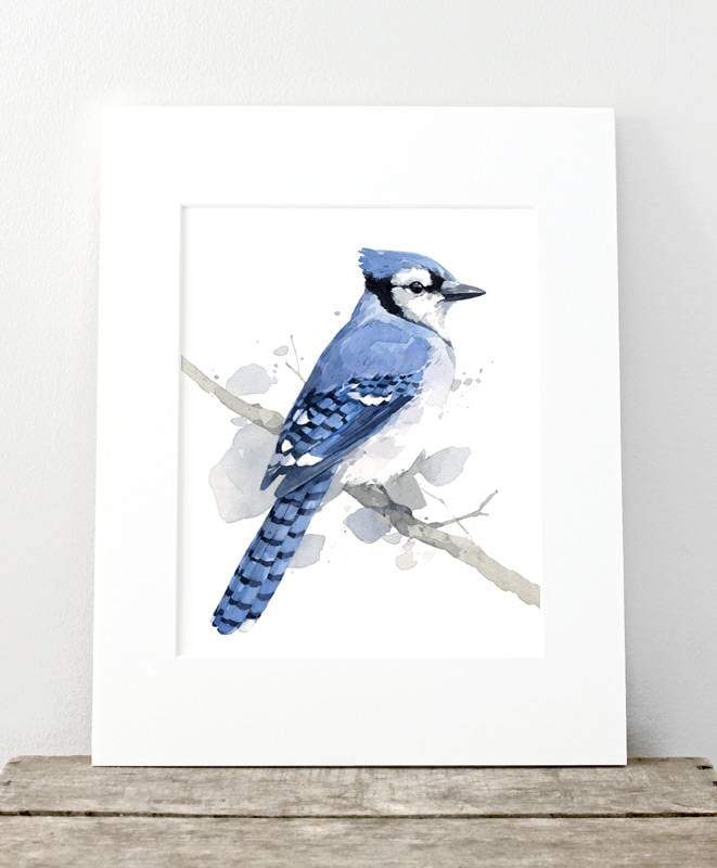 Blue Jay Print, Bird Watercolor Painting Art Print