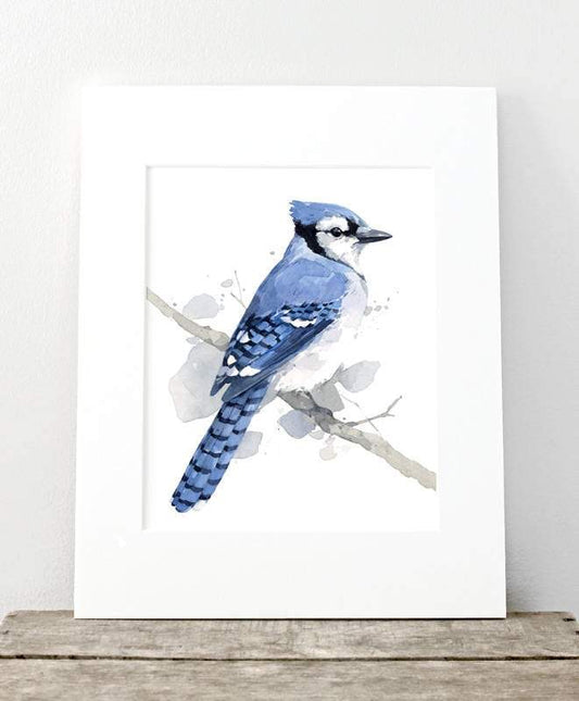 Blue Jay Print, Bird Watercolor Painting Art Print