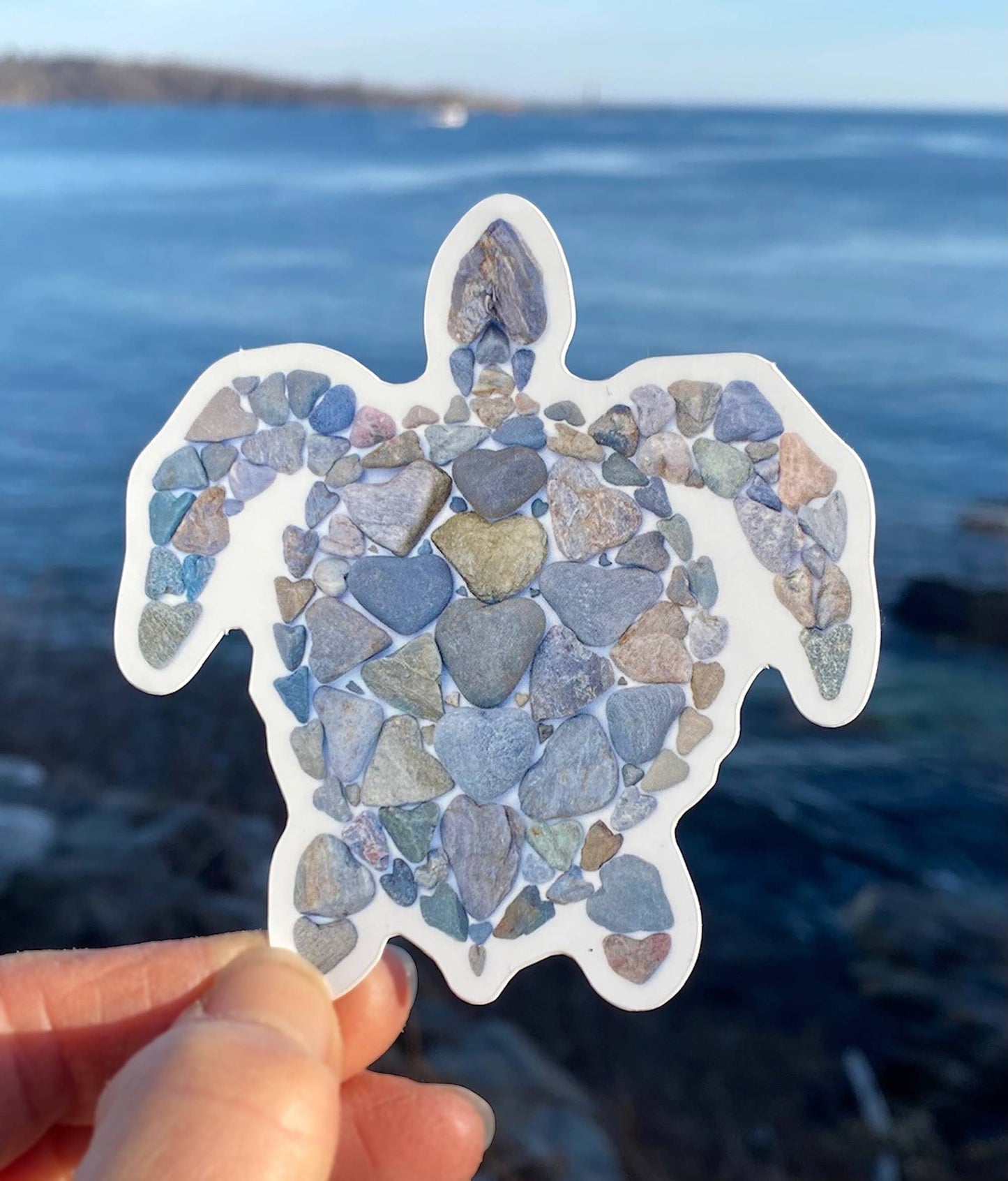Vinyl Stickers | Wildlife Stickers | Turtle Stickers