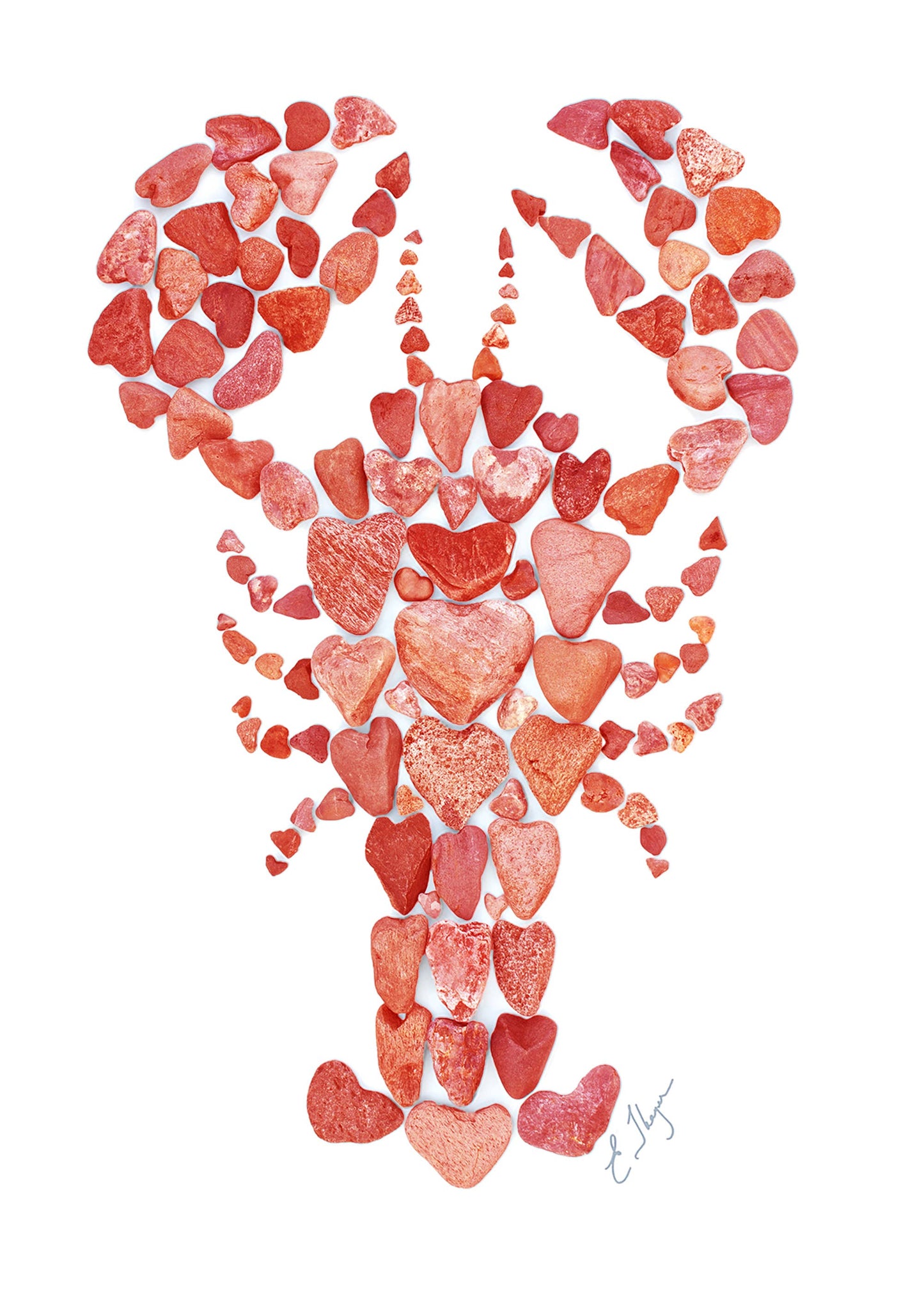Red Lobster magnet
