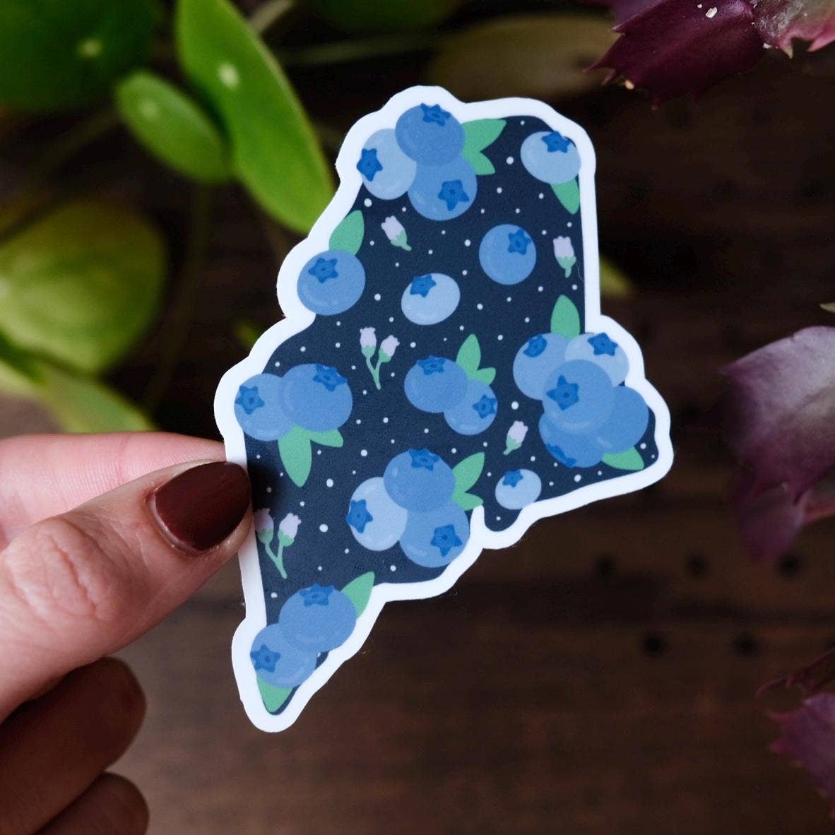 Blueberry Maine Sticker — Waterproof & Laminated