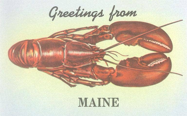 Postcard Greetings from Maine, Lobster