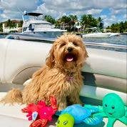 Clean Earth Recycled Plush Dog Toys - 100% Sustainable