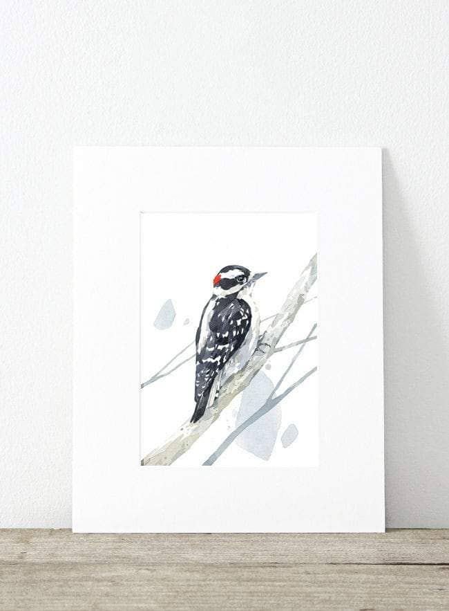 Downy Woodpecker Watercolor Print