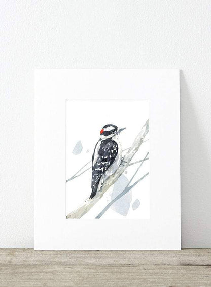 Downy Woodpecker Watercolor Print