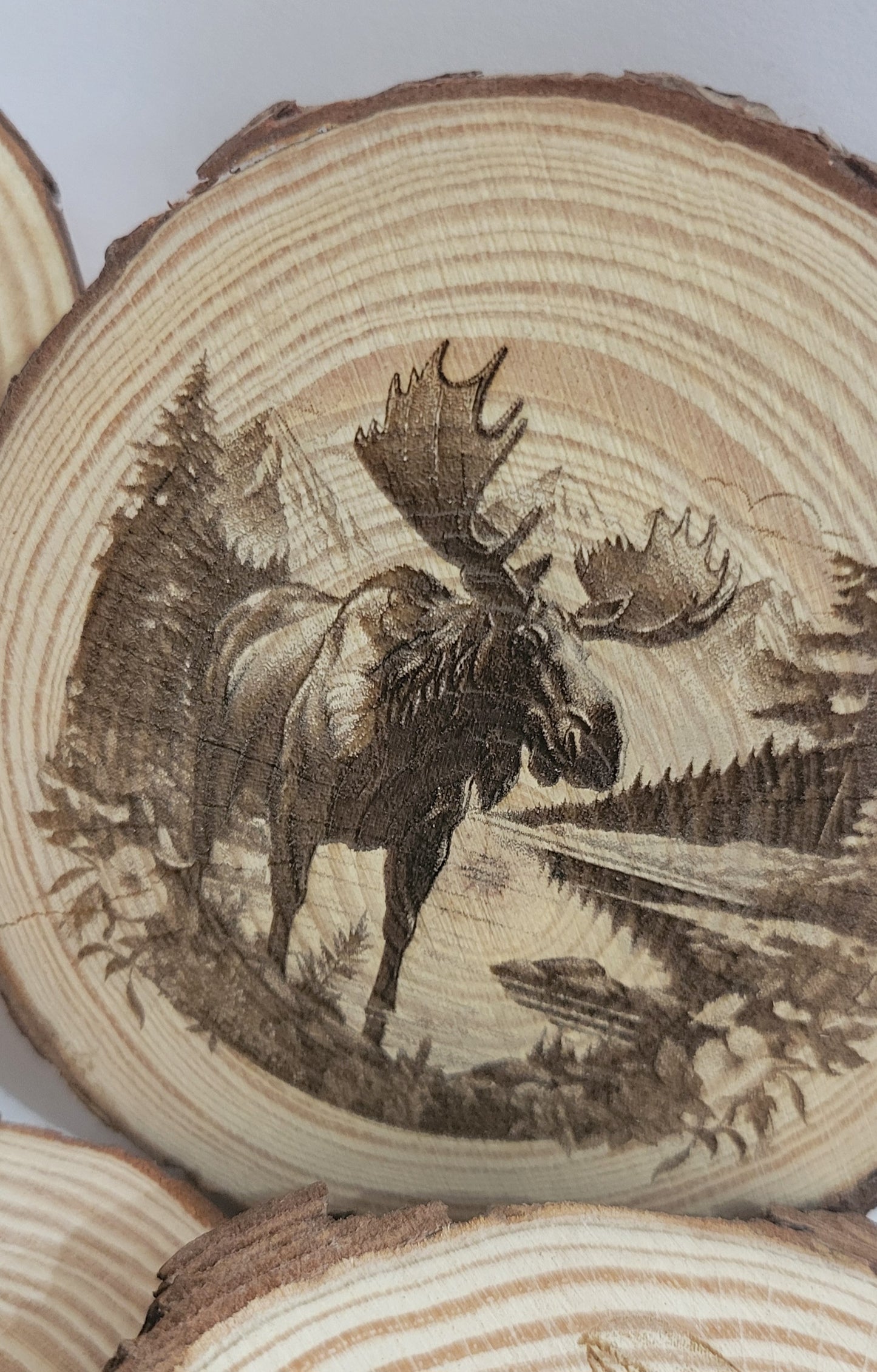 Maine Wood Slices with Images