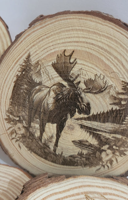 Maine Wood Slices with Images