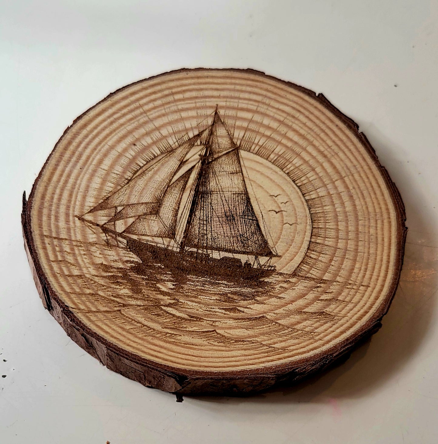 Maine Wood Slices with Images