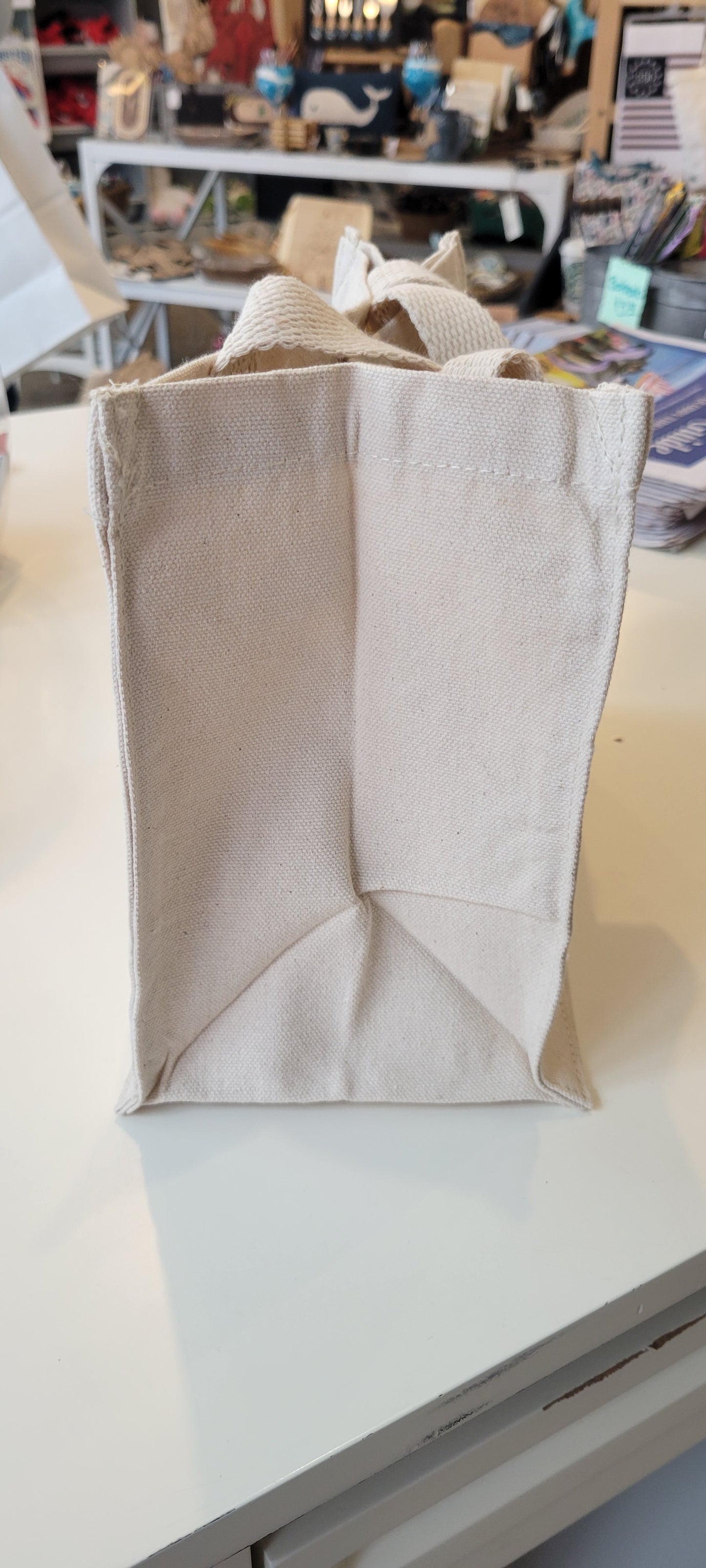 Mini Canvas Market Bag-Various Designs