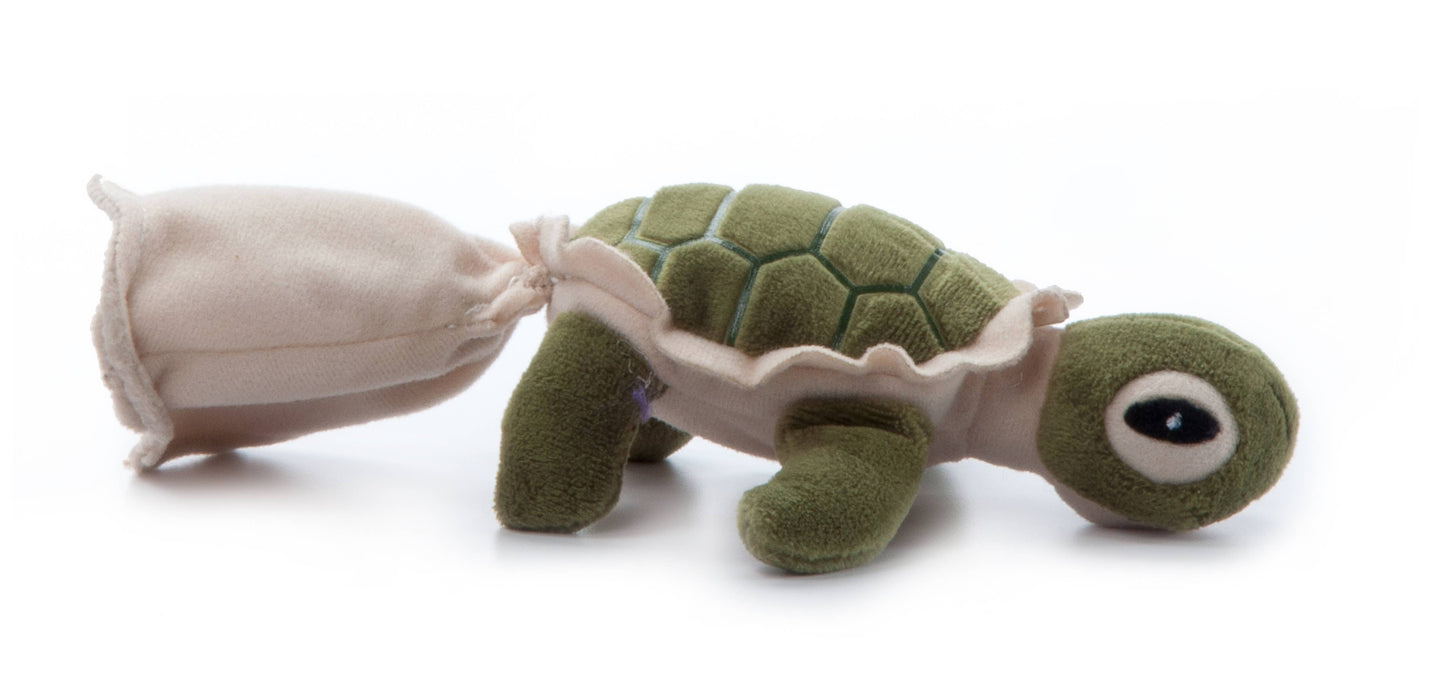 5" (12cm) Hatchling Baby Turtle Sea Life