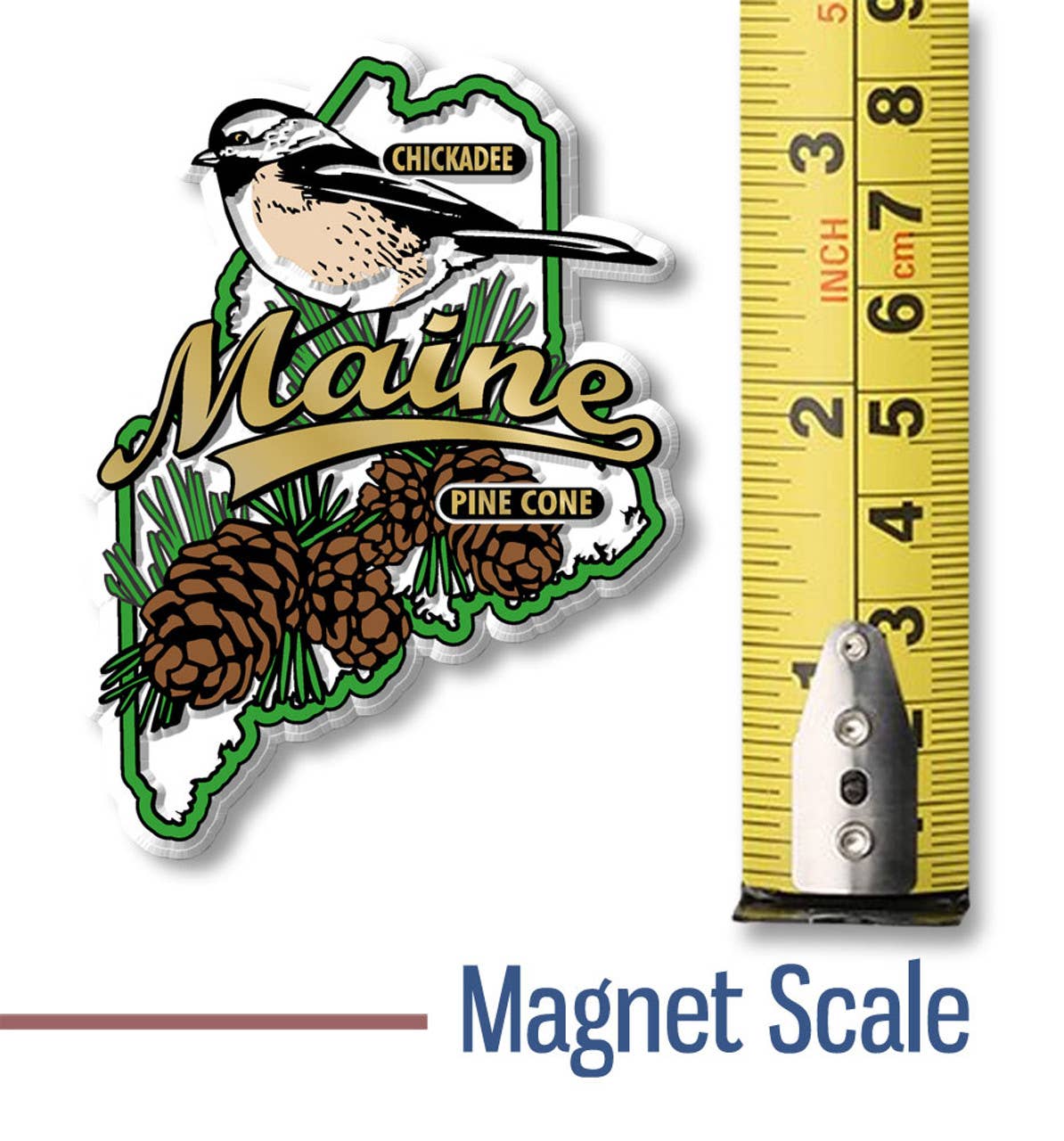 Maine State Bird and Flower Map Magnet Made in USA