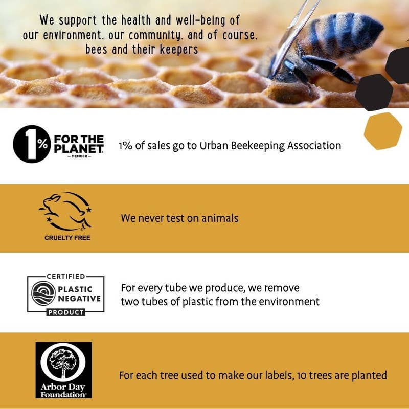 Solar Eclipse SPF 15 Lip Balms - in display box