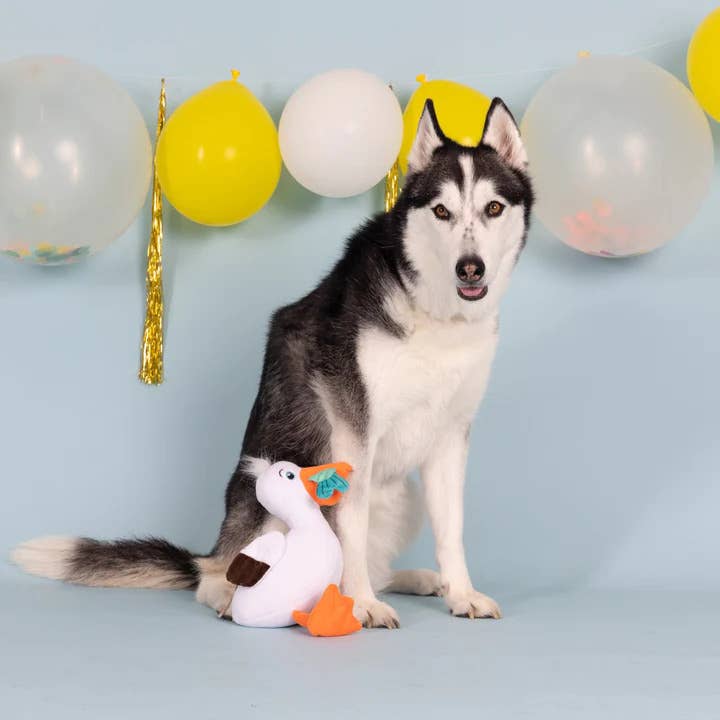 Seagull- Lunch Break Plush Dog Toy
