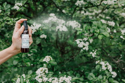 Natural Bug Spray - Hiking & Travel size