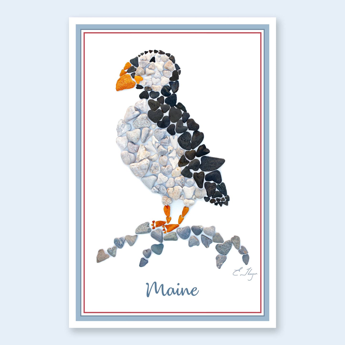Maine Puffin postcard