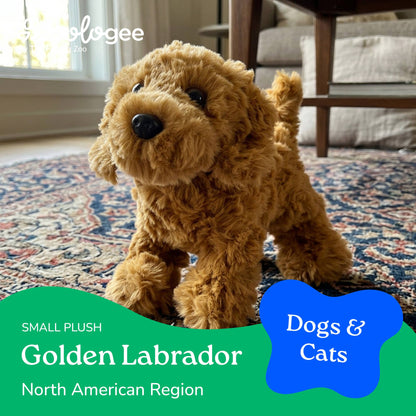 New Golden Labradoodle Dog Small