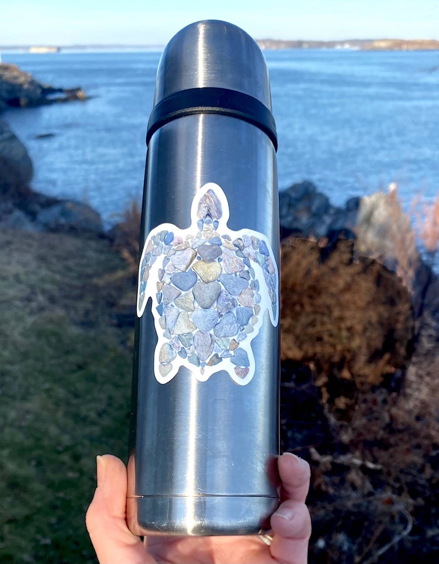 Vinyl Stickers | Wildlife Stickers | Turtle Stickers