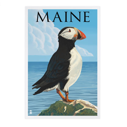 PREMIUM POSTCARDS Maine, Puffin on Rock Scene