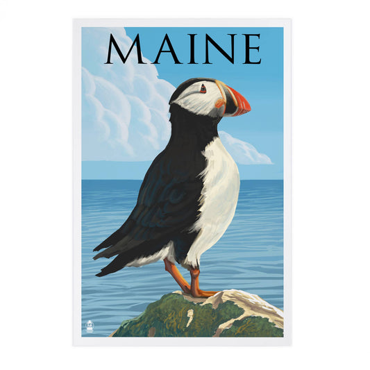 PREMIUM POSTCARDS Maine, Puffin on Rock Scene
