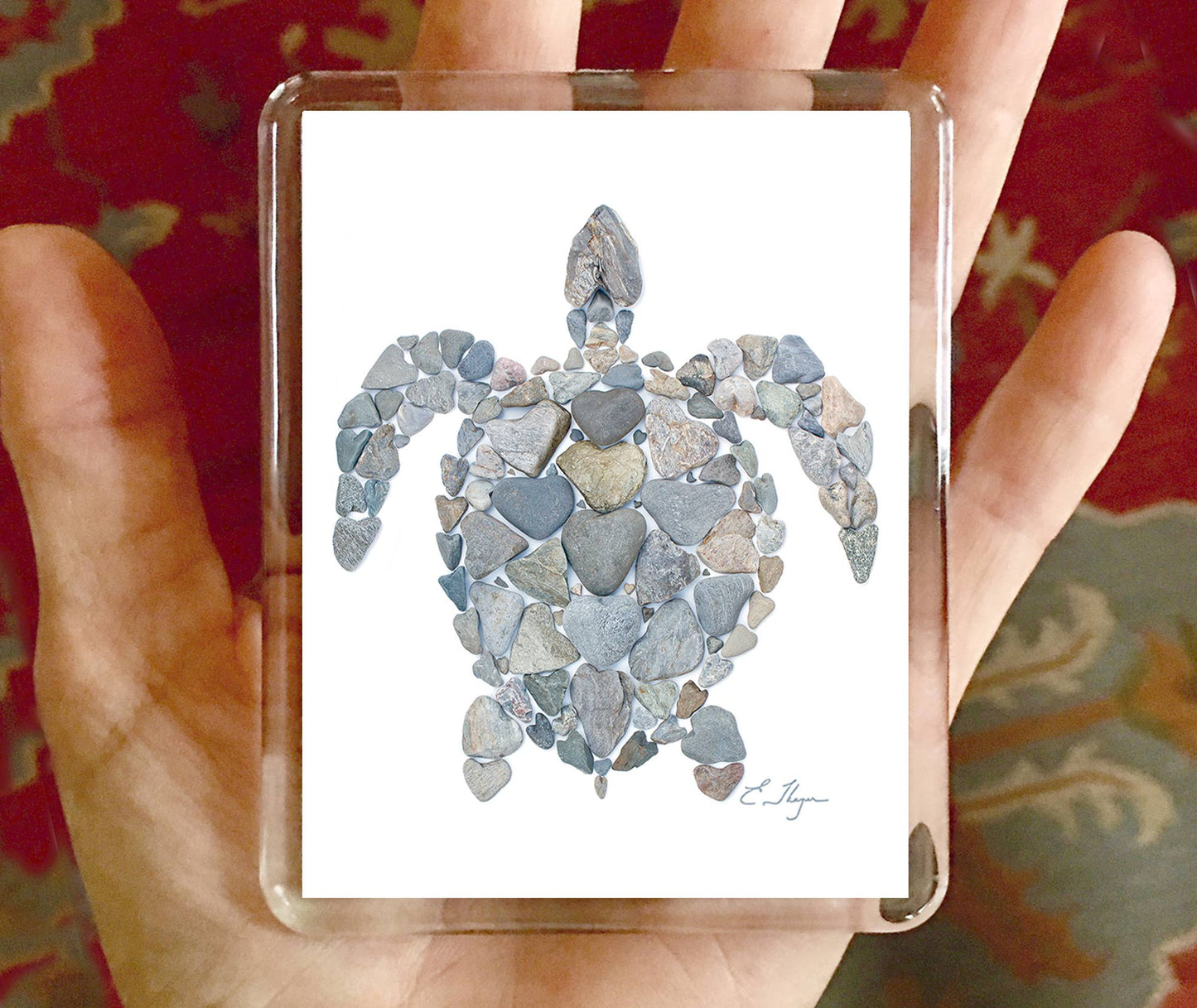 Coastal magnets | Turtle magnets