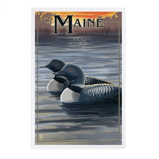 PREMIUM POSTCARDS Maine, Loon Family
