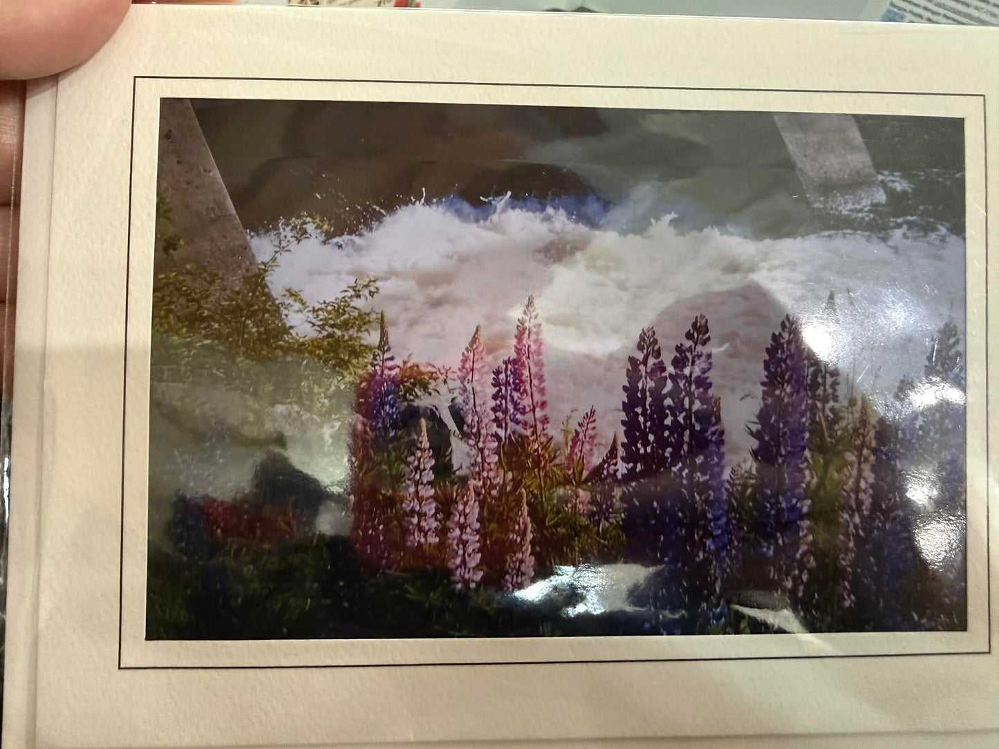 Maine Greeting Cards