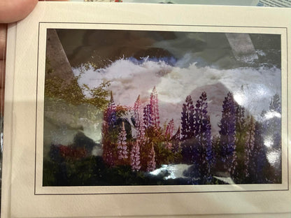Maine Greeting Cards