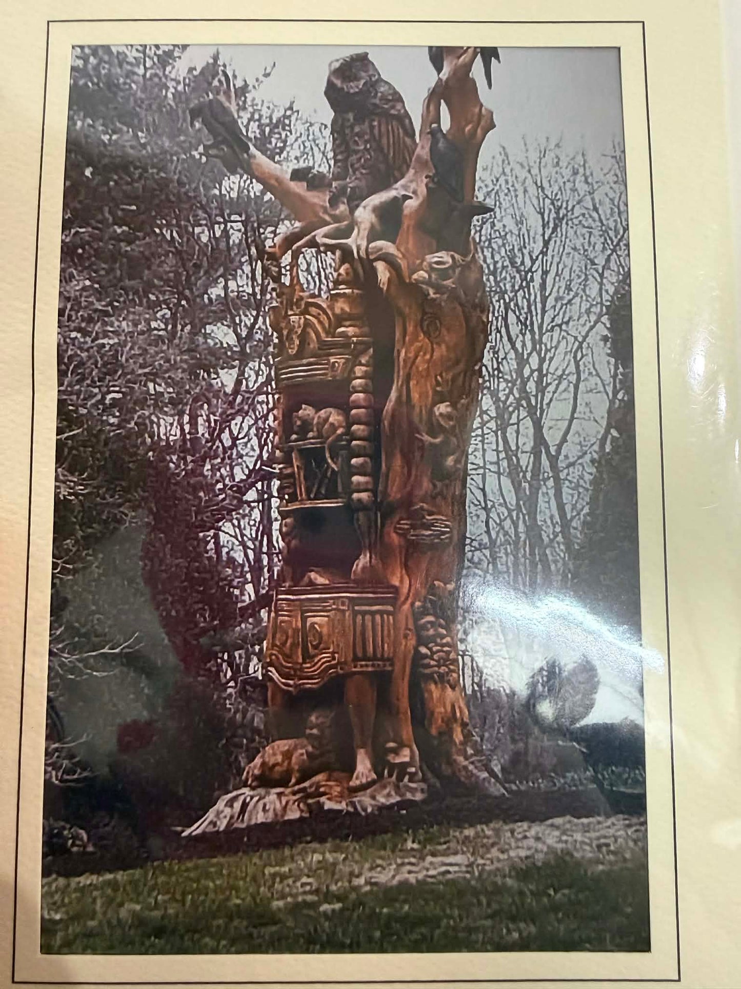 Maine Greeting Cards