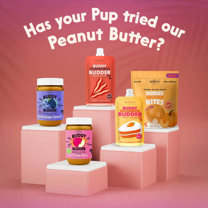 Dog Peanut Butter - 4oz Squeeze Packs Beehive Buzz Budder