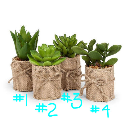 Faux Succulents In Burlap Wrap