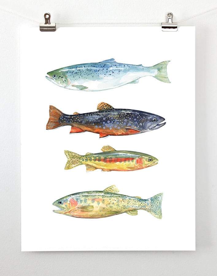 Trout and Salmon Watercolor Art Print, Fly Fishing Painting